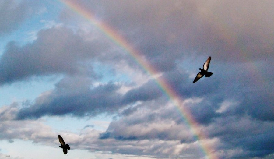 flug durch regenbogen.JPG